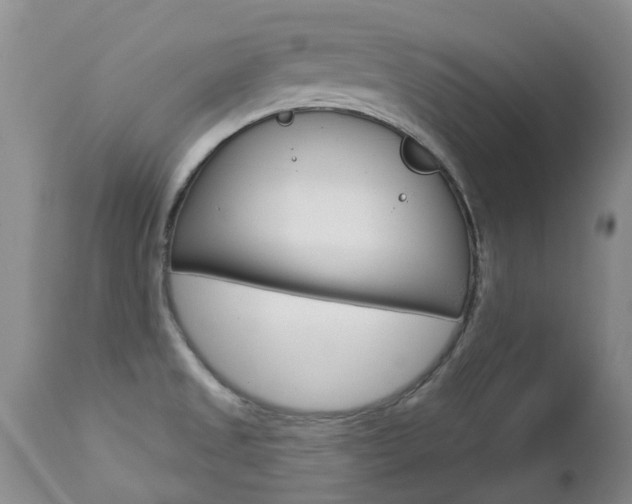 X0000112861525200908211043