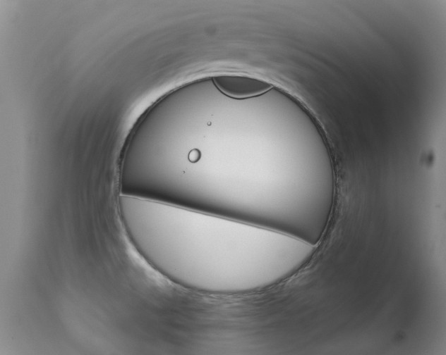 X0000112861527200908211043
