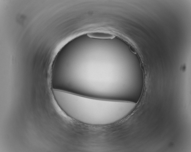 X0000112861528200908211043