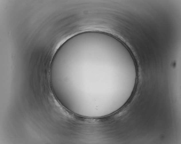 X0000112861529200908211043