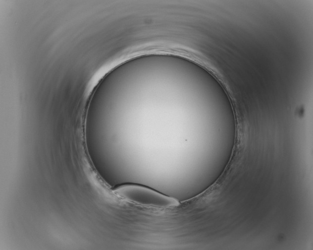 X0000112861530200908211043