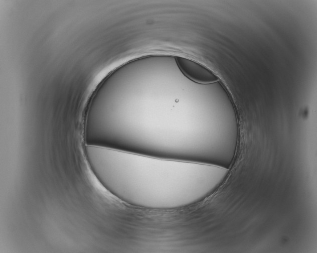 X0000112861531200908211043