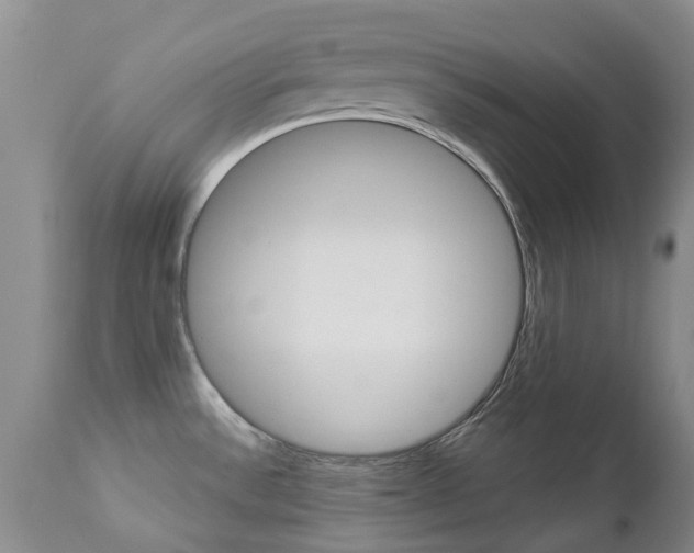 X0000112861532200908211043
