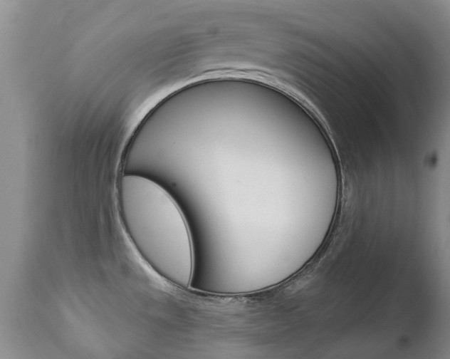 X0000112861533200908211043