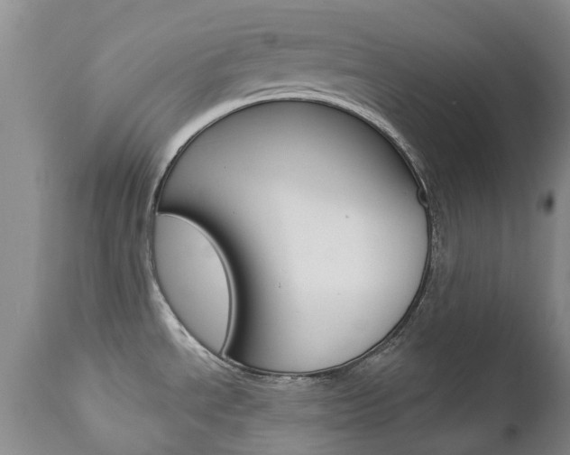 X0000112861534200908211043