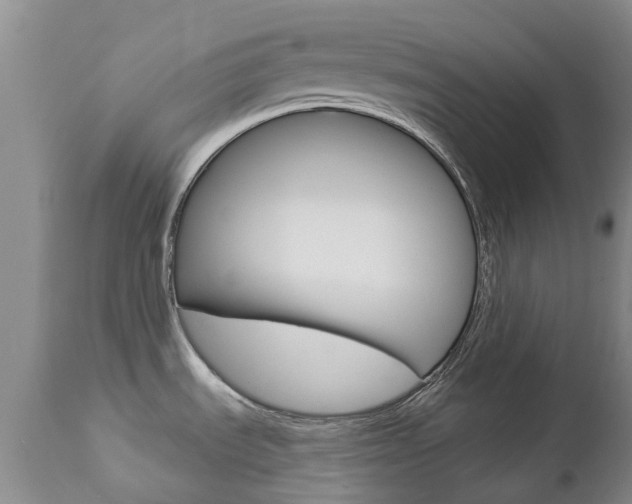X0000112861535200908211043