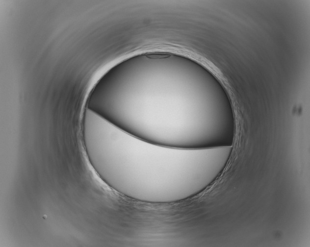 X0000112861536200908211043
