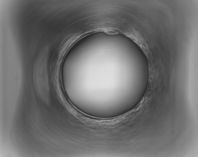 X0000112860001200908211330