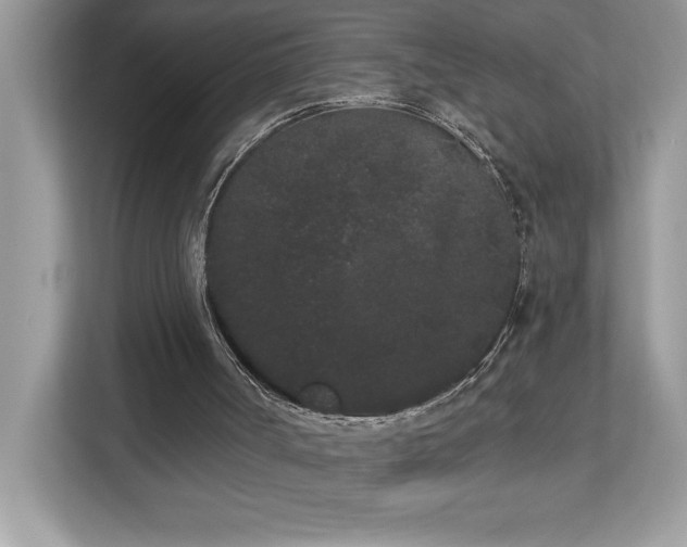 X0000112860002200908211330