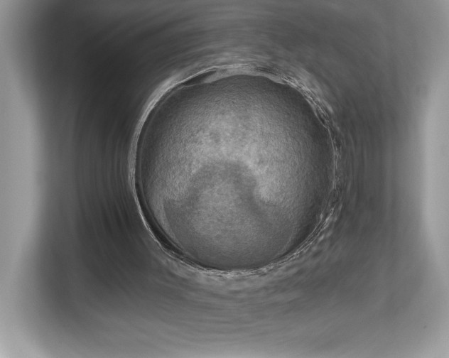 X0000112860003200908211330