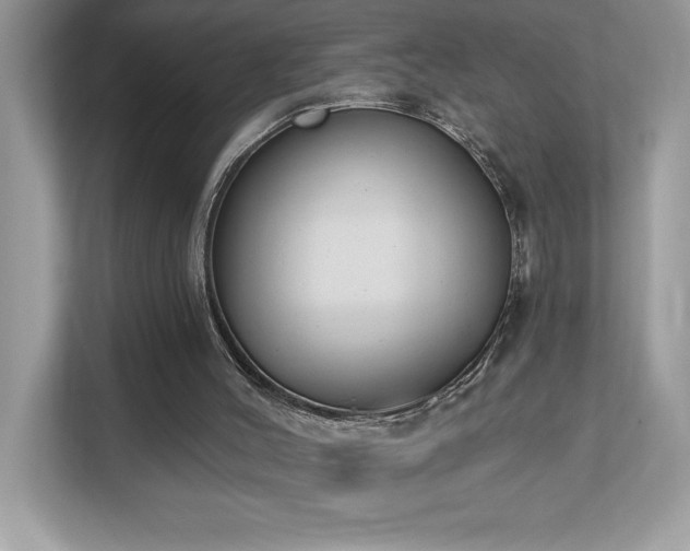 X0000112860004200908211330