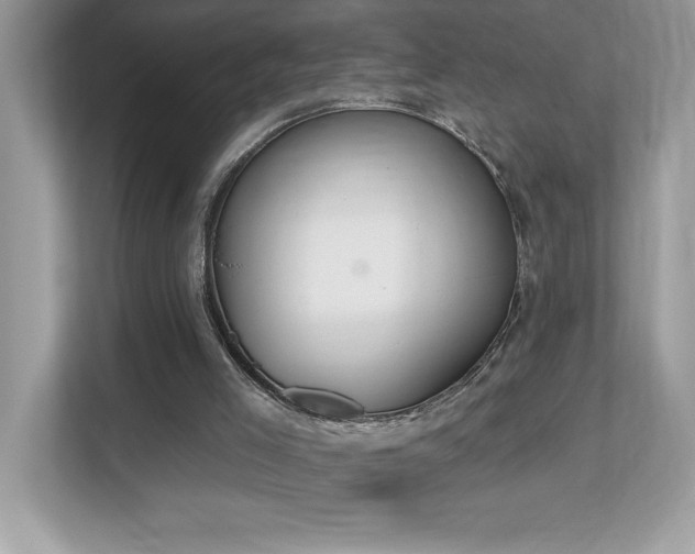X0000112860005200908211330