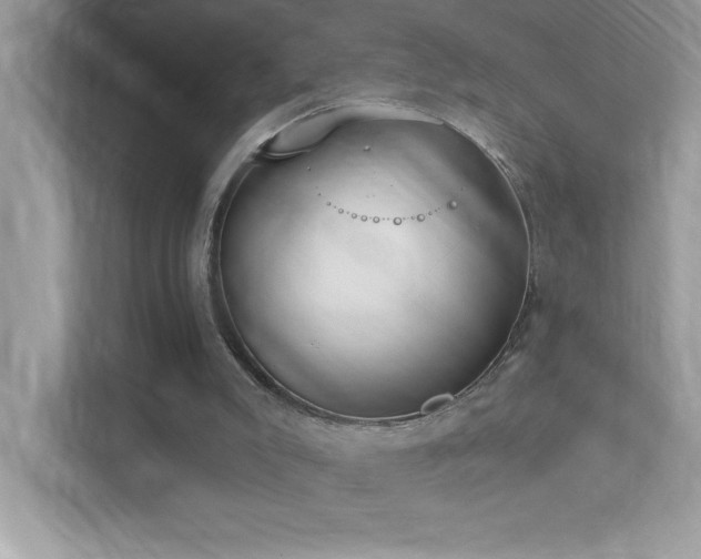 X0000112860007200908211330