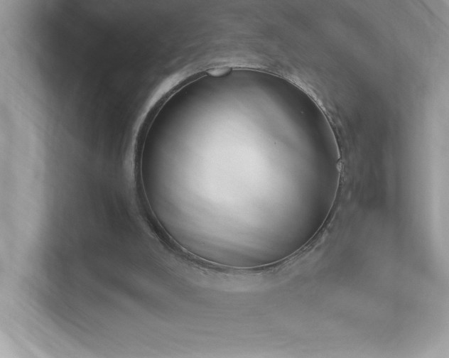 X0000112860008200908211330