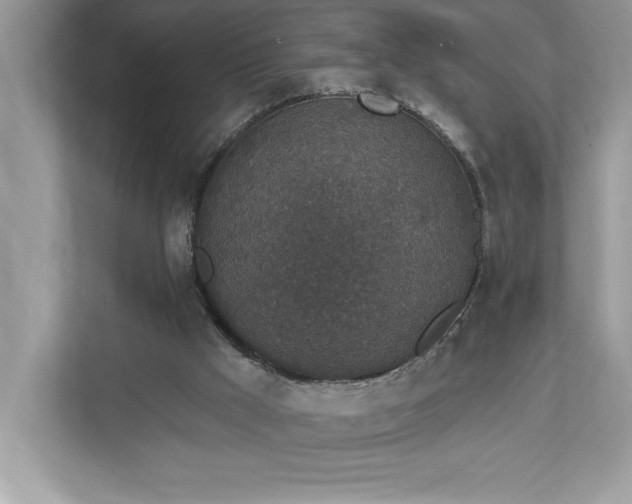 X0000112860009200908211330