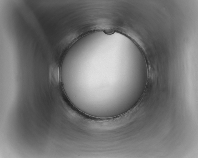 X0000112860013200908211330