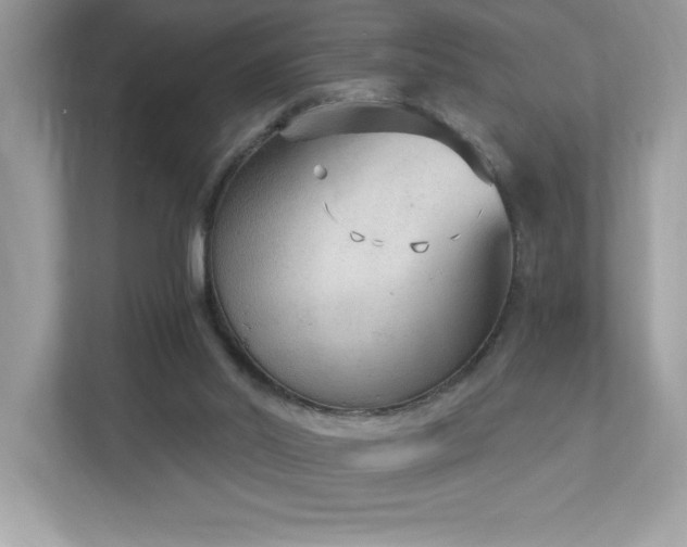 X0000112860014200908211330