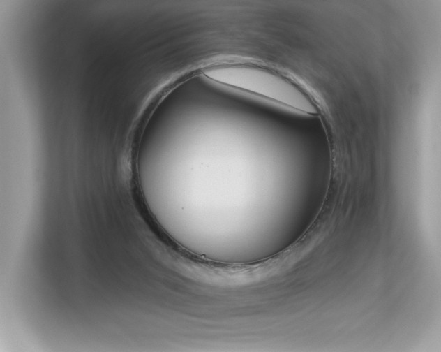 X0000112860015200908211330