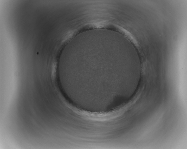 X0000112860018200908211330