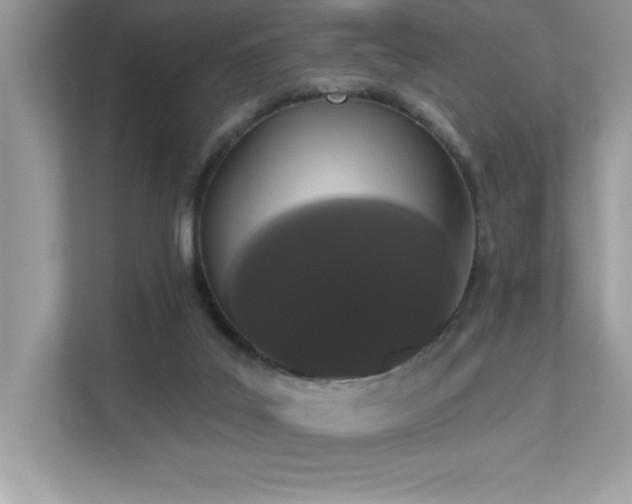 X0000112860019200908211330