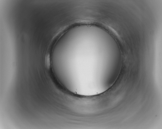 X0000112860020200908211330