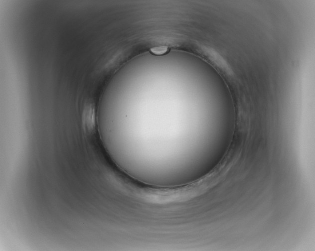 X0000112860021200908211330