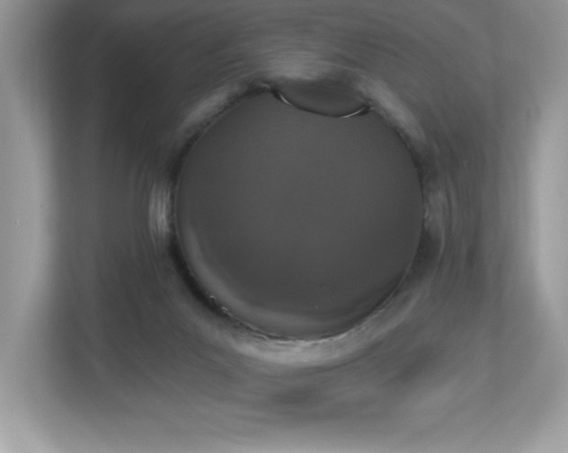 X0000112860023200908211330
