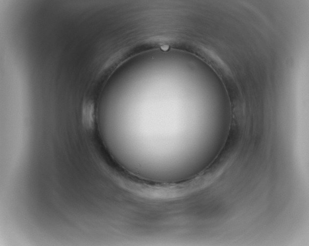 X0000112860024200908211330