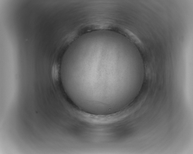 X0000112860026200908211330