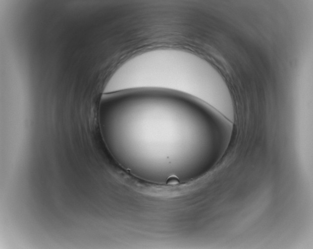 X0000112860029200908211330