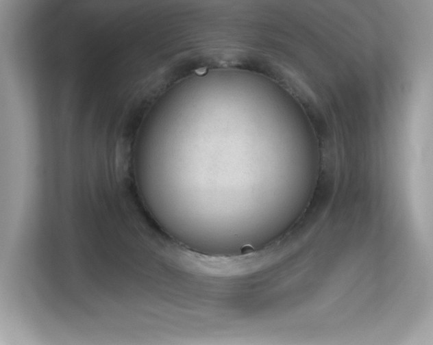 X0000112860030200908211330