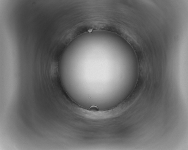 X0000112860034200908211330
