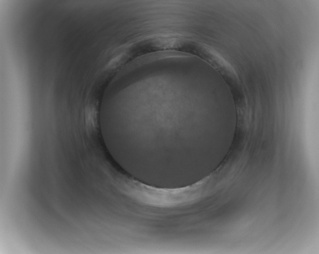 X0000112860035200908211330