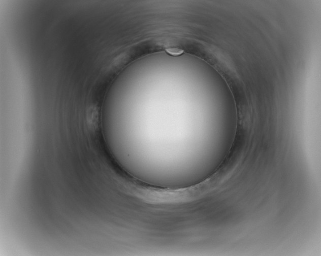 X0000112860036200908211330