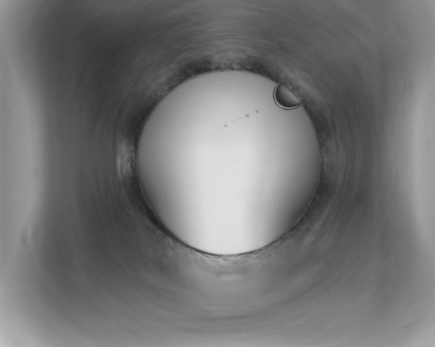 X0000112860038200908211330
