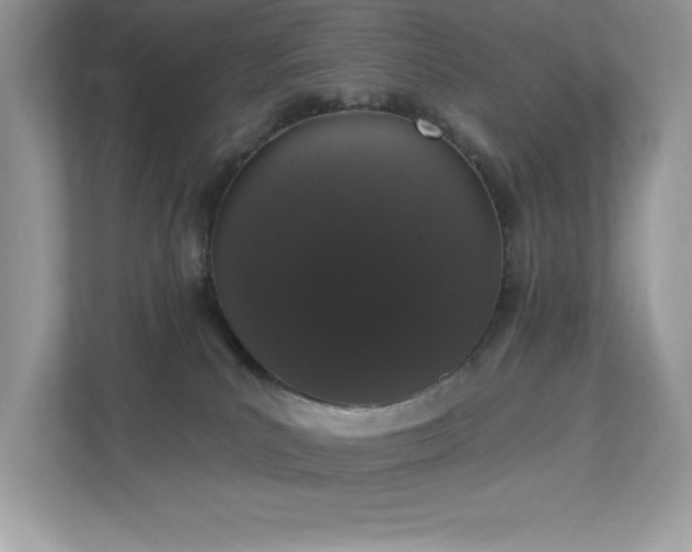 X0000112860039200908211330