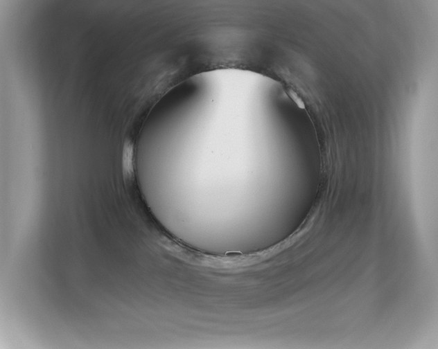 X0000112860041200908211330