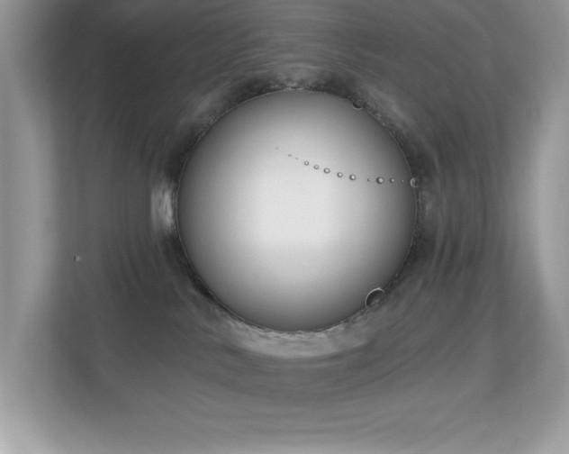 X0000112860042200908211330
