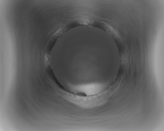 X0000112860043200908211330