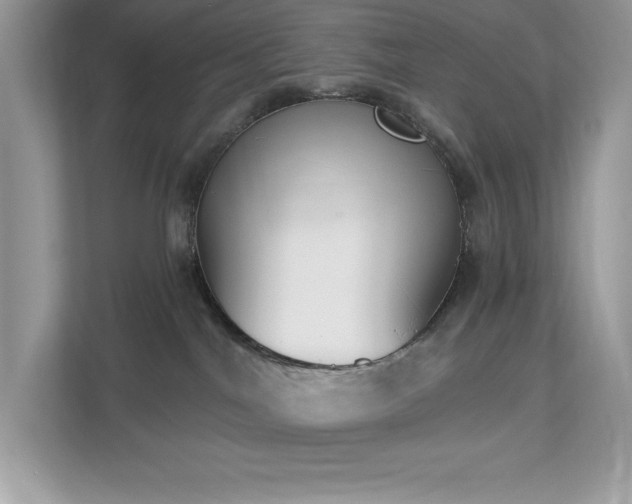 X0000112860044200908211330