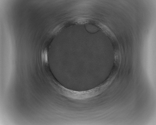X0000112860046200908211329