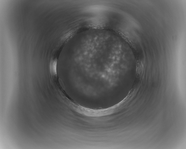 X0000112860047200908211329