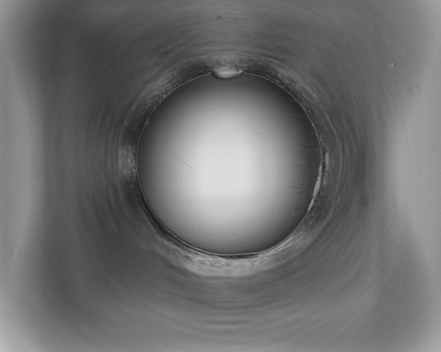 X0000112860048200908211329