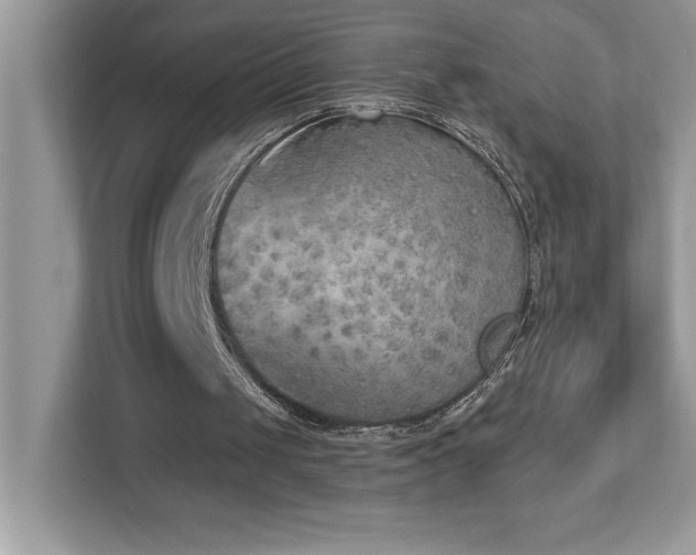 X0000112860049200908211329