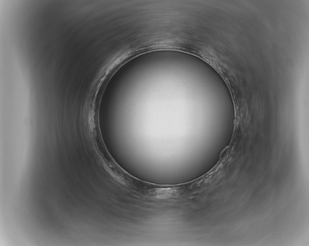 X0000112860050200908211329