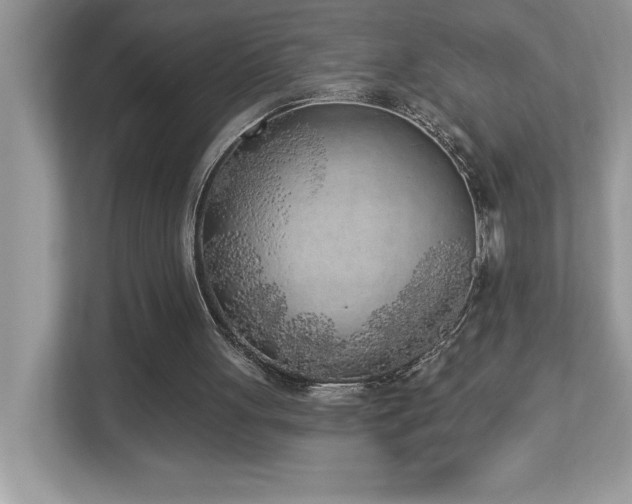 X0000112860051200908211329