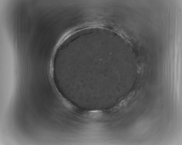 X0000112860053200908211329