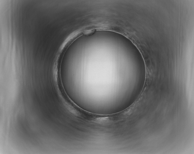 X0000112860054200908211329