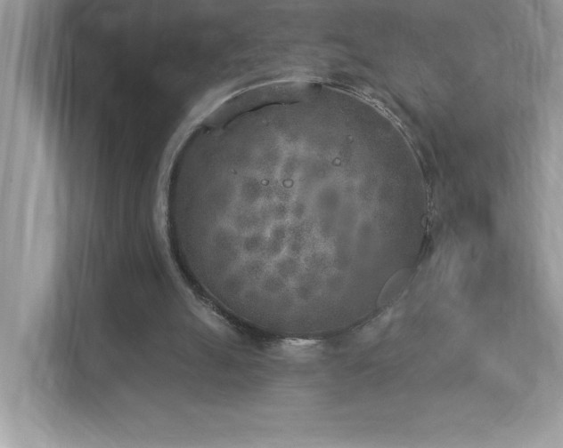 X0000112860055200908211329