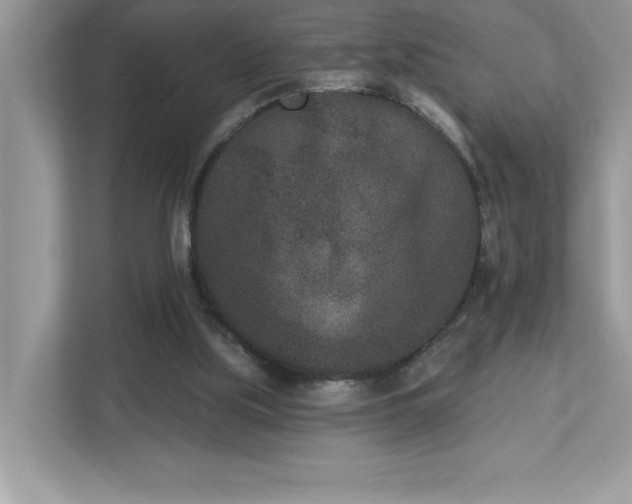 X0000112860059200908211329